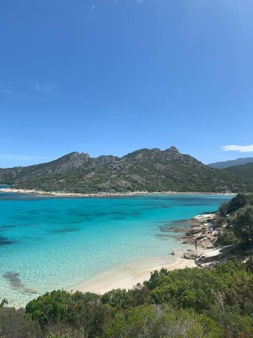 Studio Cosy Plage Et Parking 皮特讷阿 外观 照片