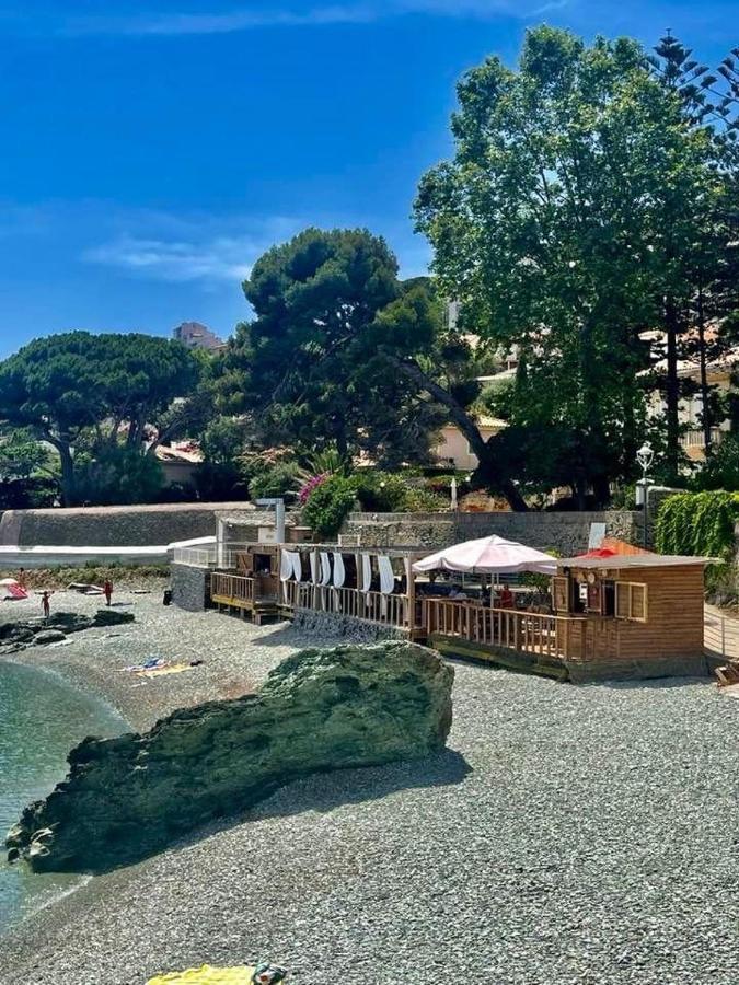 Studio Cosy Plage Et Parking 皮特讷阿 外观 照片